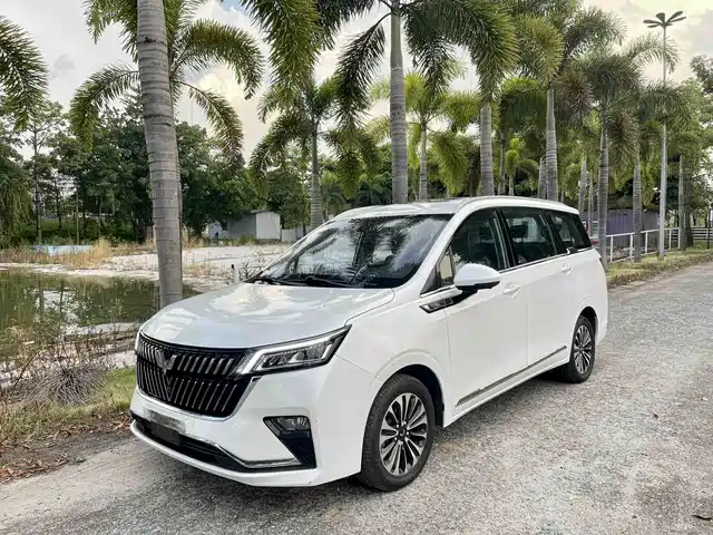 Wuling Jiachen
