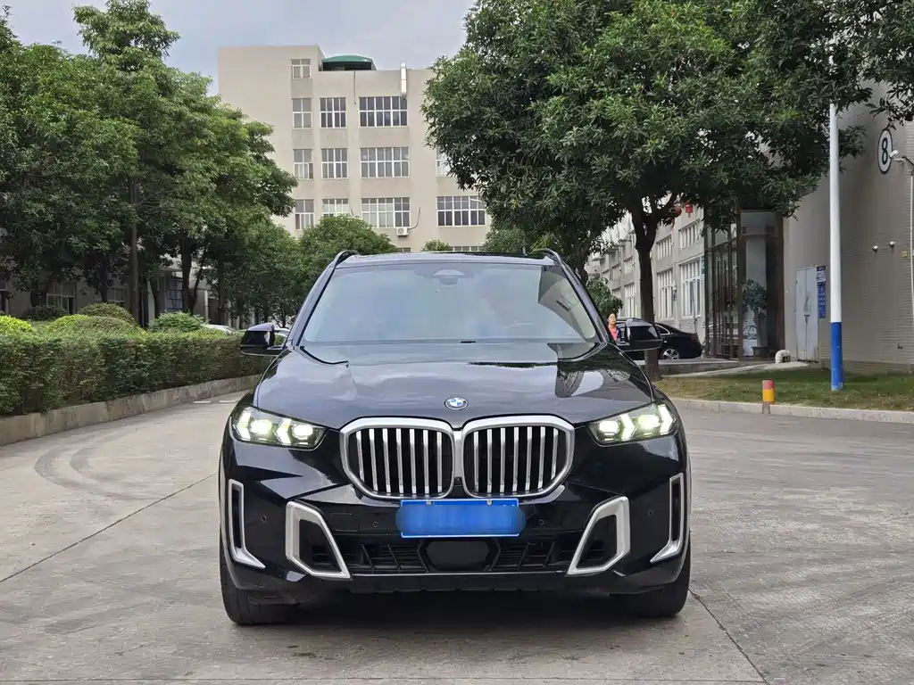 BMW X5 — миниатюра 2