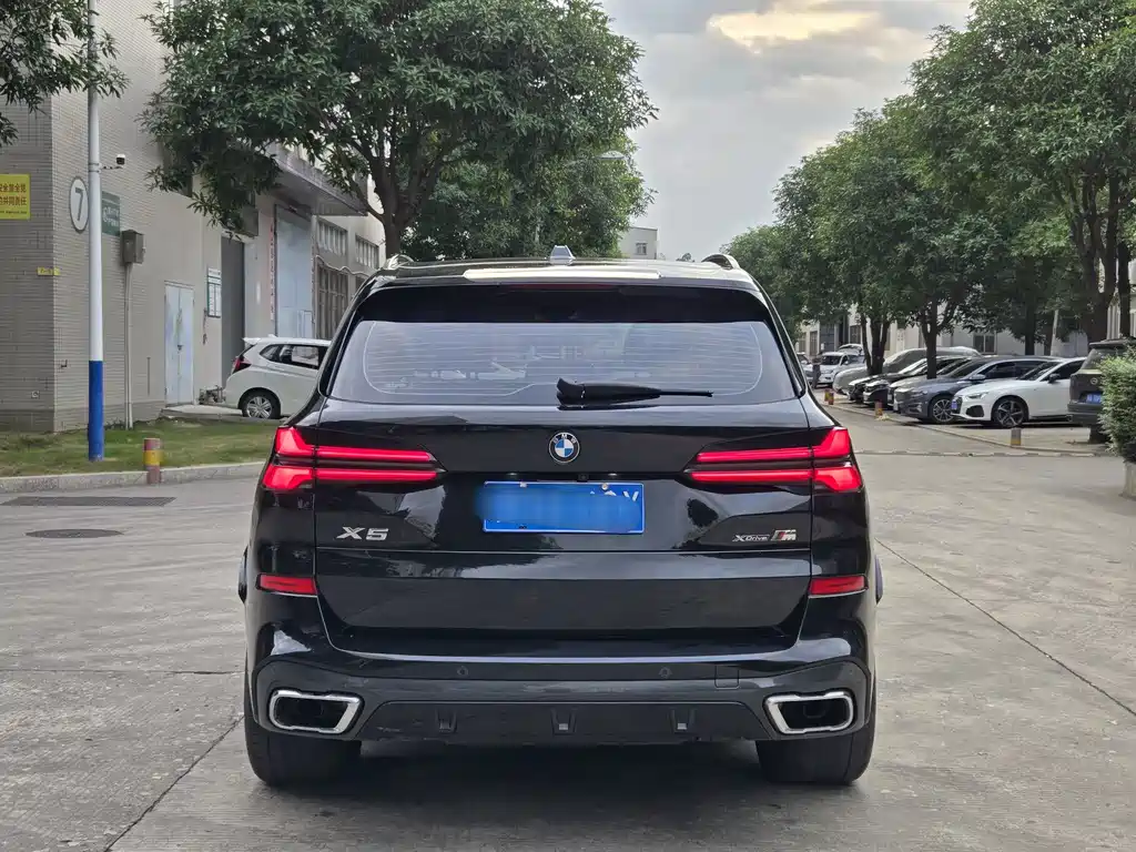 BMW X5 — миниатюра 8