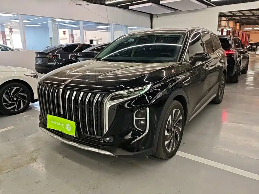 Hongqi Hongqi HS7 PHEV — миниатюра 2