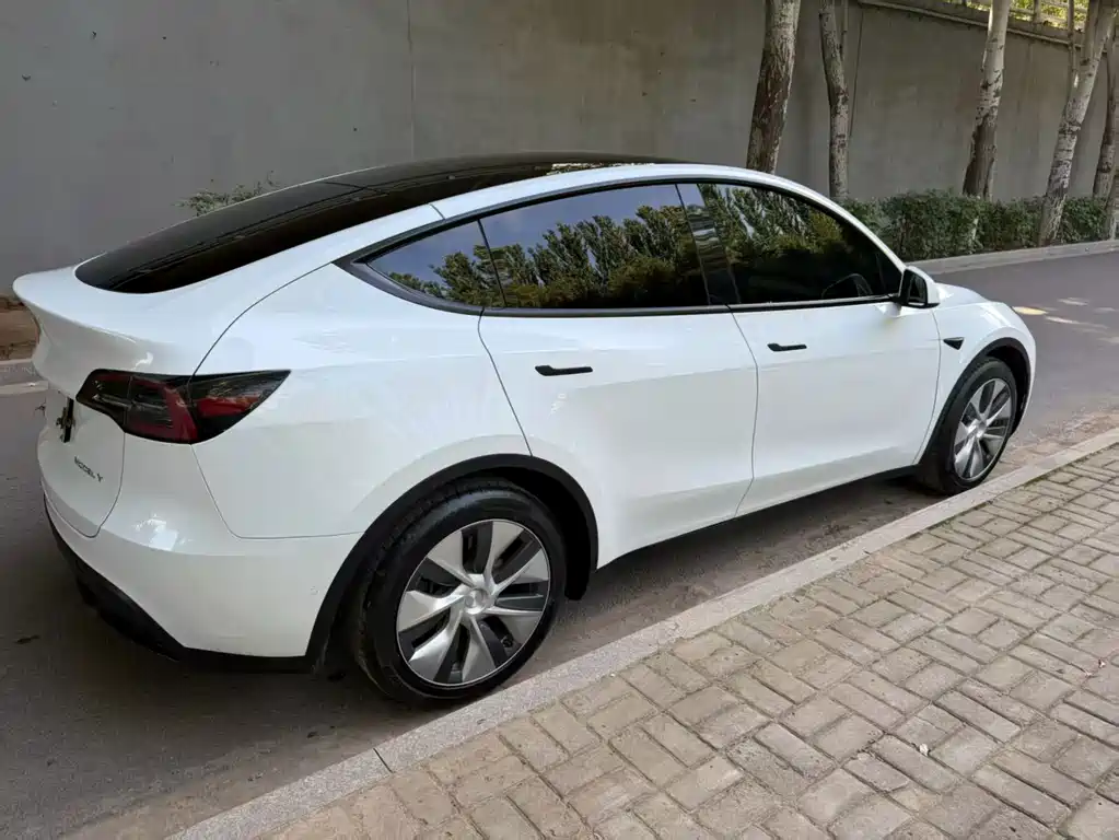 Tesla Model Y — миниатюра 8