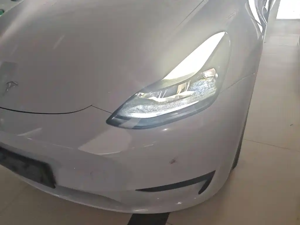 Tesla Model Y — миниатюра 24