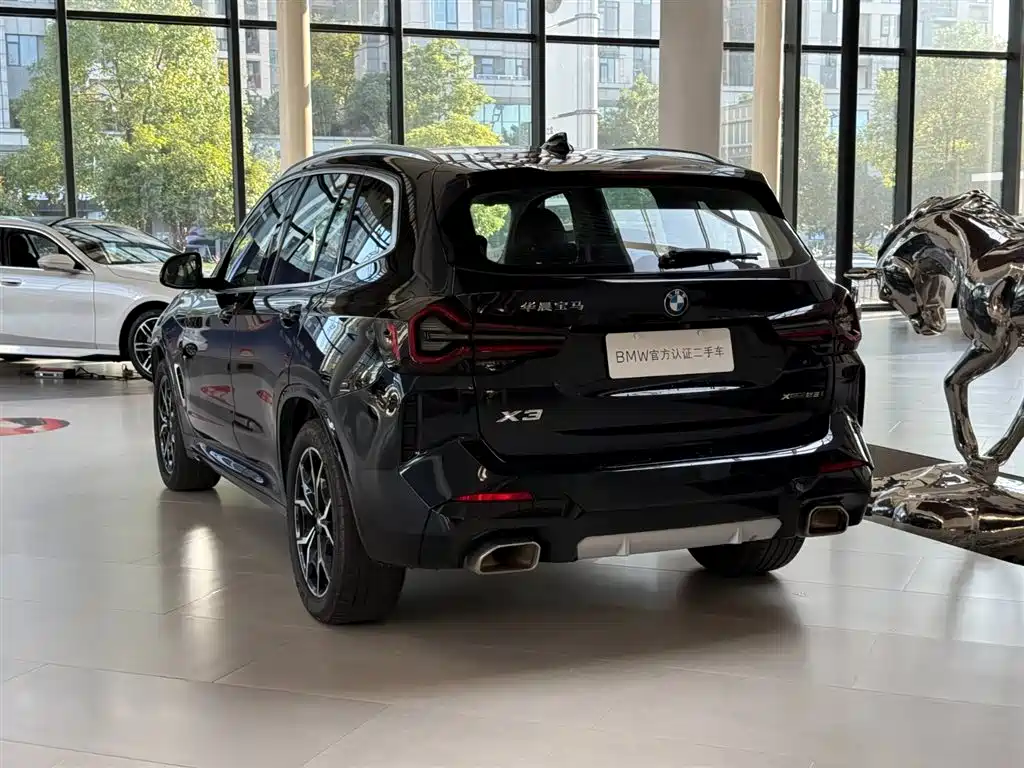 BMW X3 — миниатюра 6