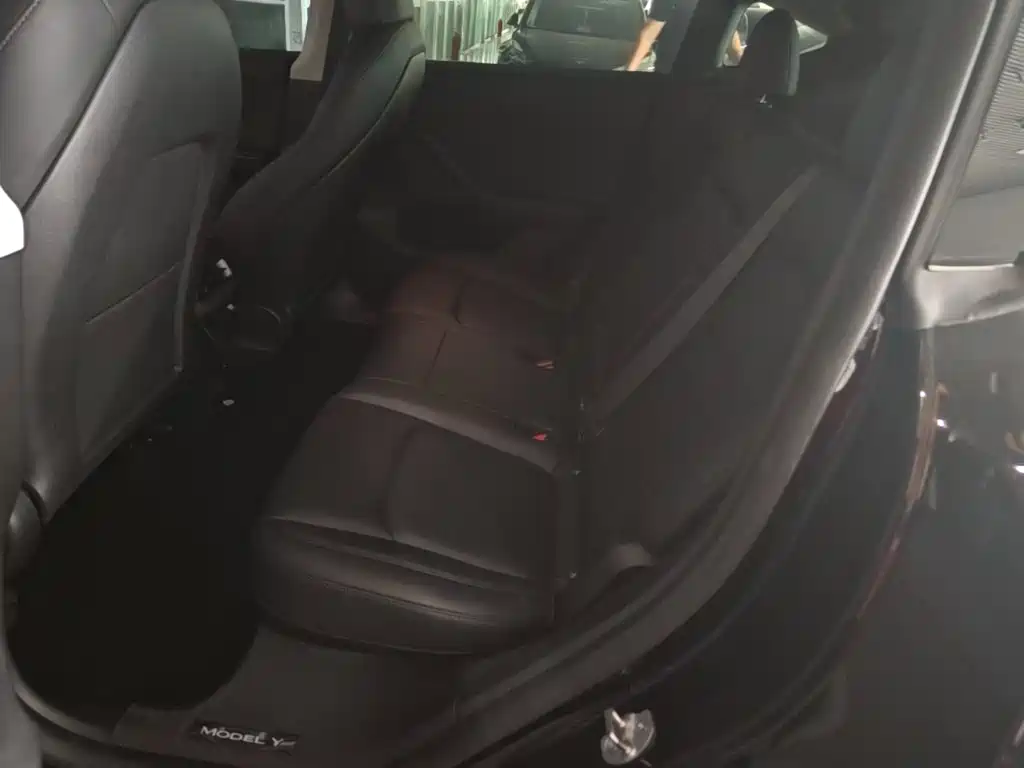 Tesla Model Y — миниатюра 17