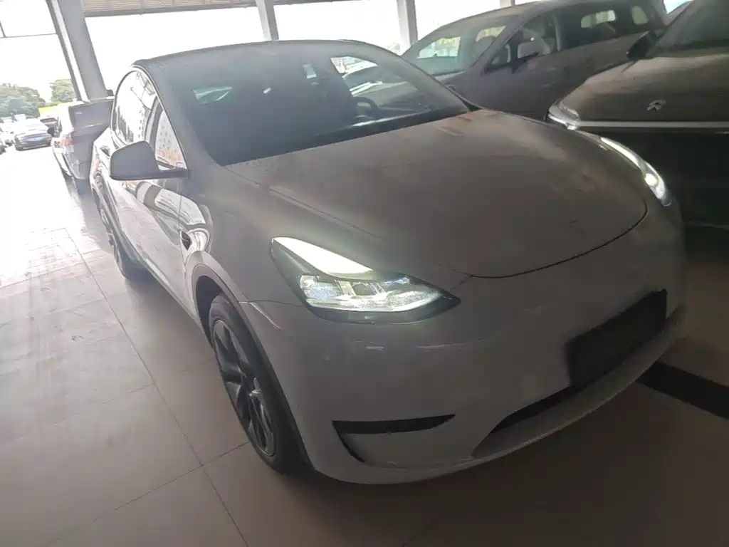 Tesla Model Y — миниатюра 4