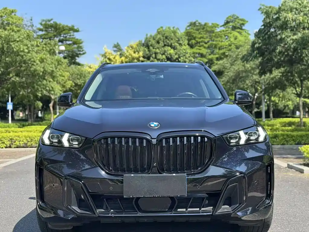BMW X5 — миниатюра 2