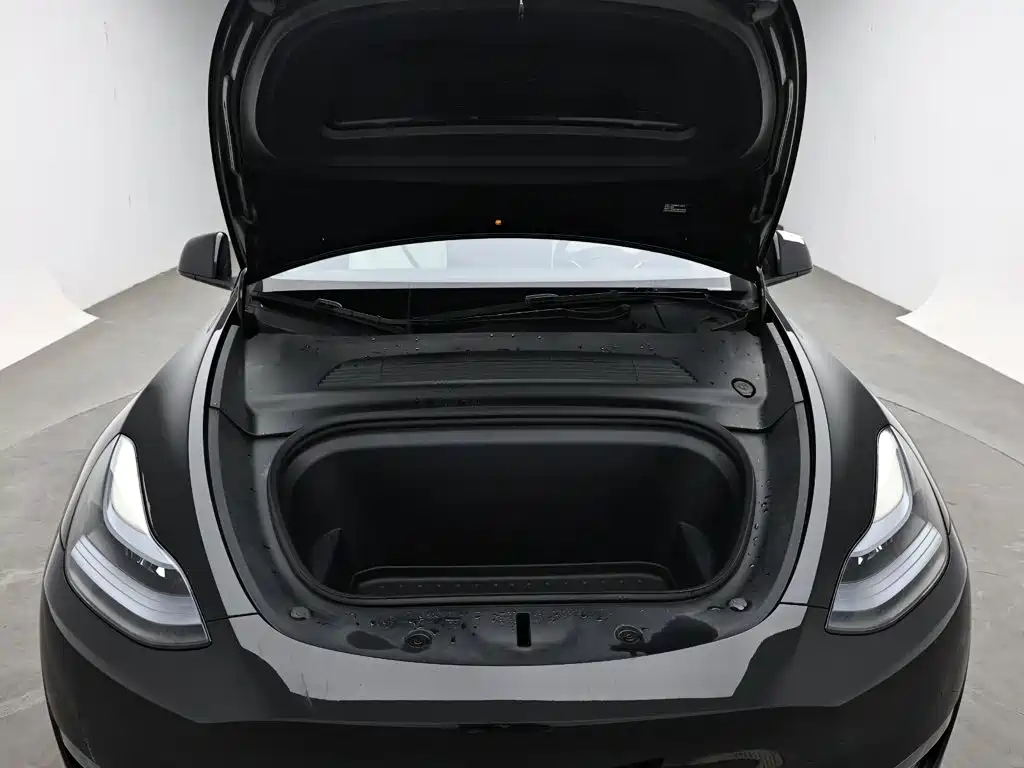 Tesla Model Y — миниатюра 17
