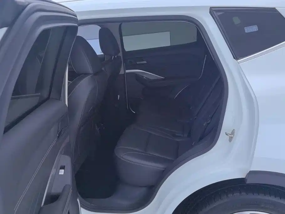 Wey Wey VV6 — миниатюра 11