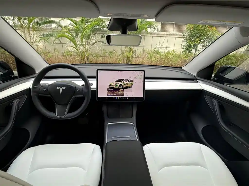 Tesla Model Y — миниатюра 3