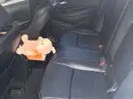 Toyota Levin — миниатюра 8