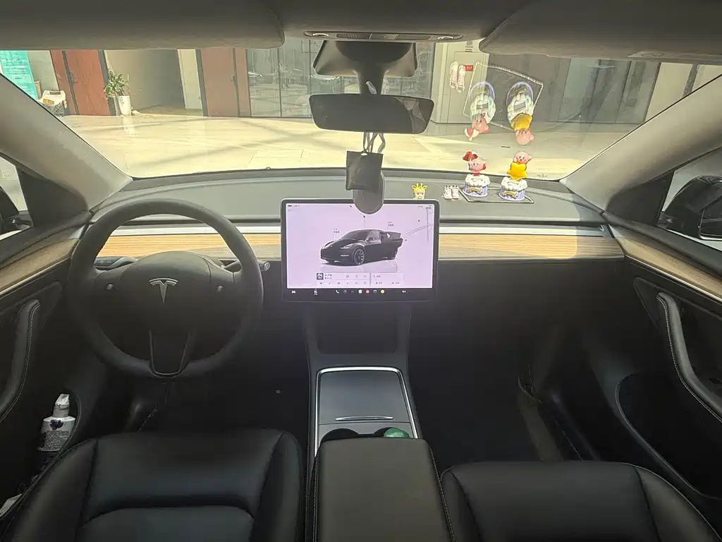 Tesla Model Y — миниатюра 8