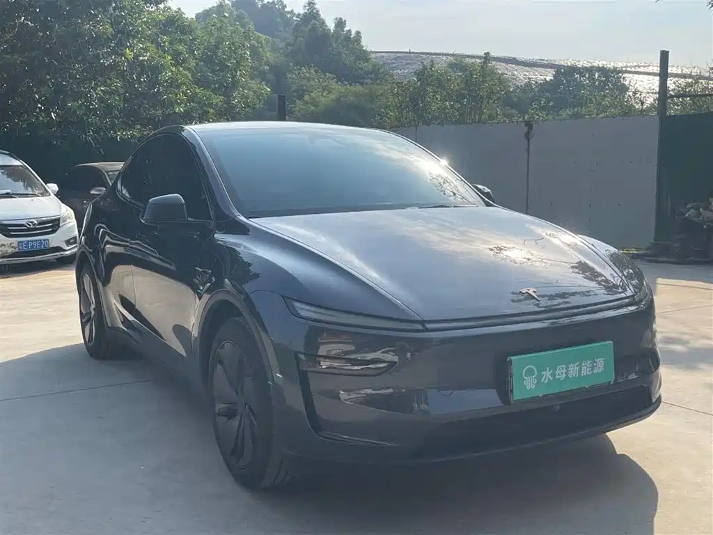 Tesla Model Y — миниатюра 12