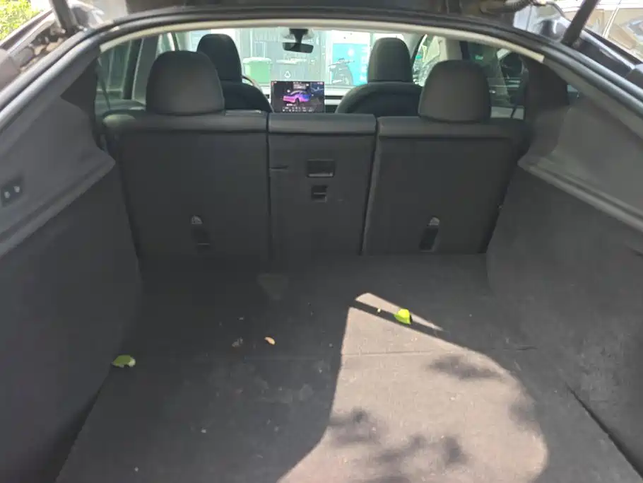 Tesla Model Y — миниатюра 4