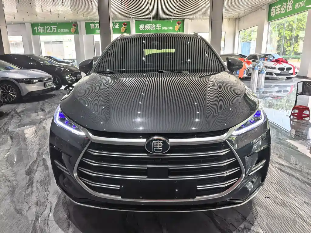 BYD Tang New Energy — миниатюра 2