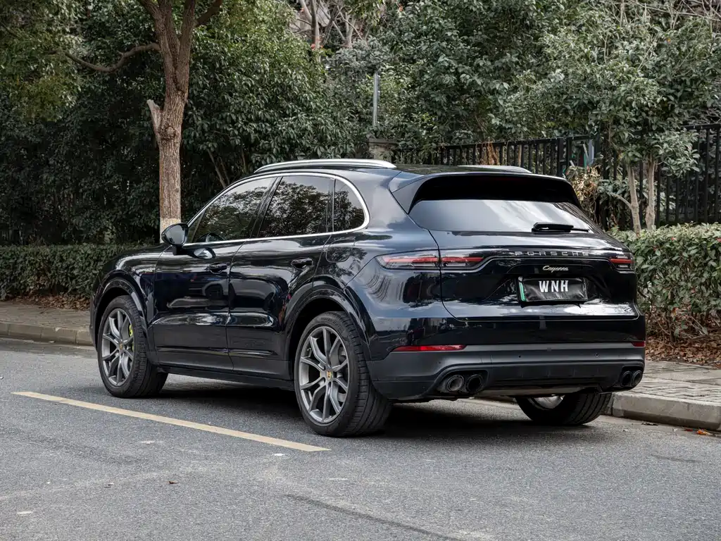 Porsche Cayenne Hybrid Cayenne E-Hybrid 2.0T, фото 5