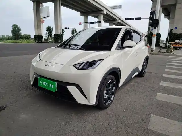 2025 BYD Seagull