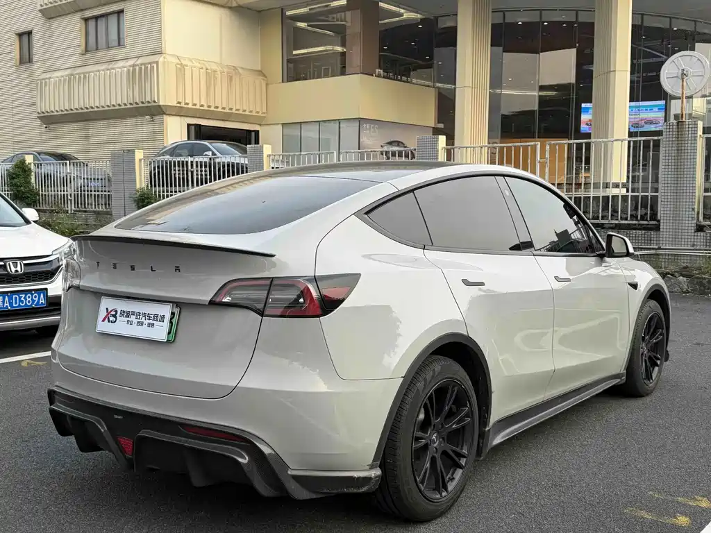 Tesla Model Y — миниатюра 10