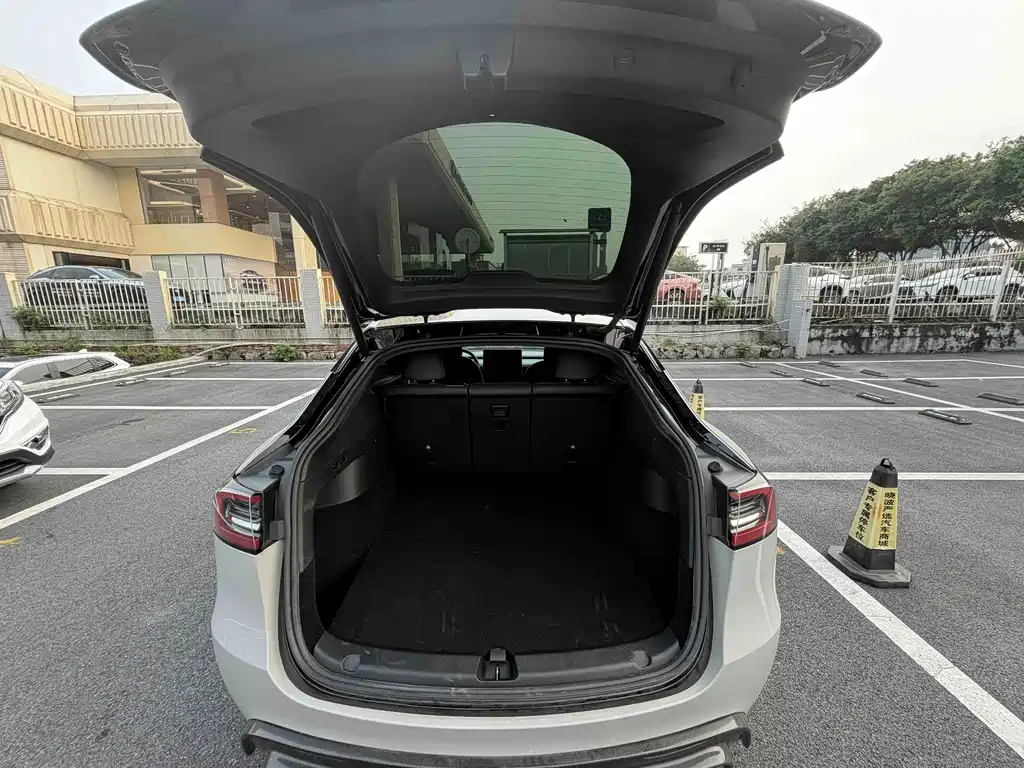Tesla Model Y — миниатюра 13