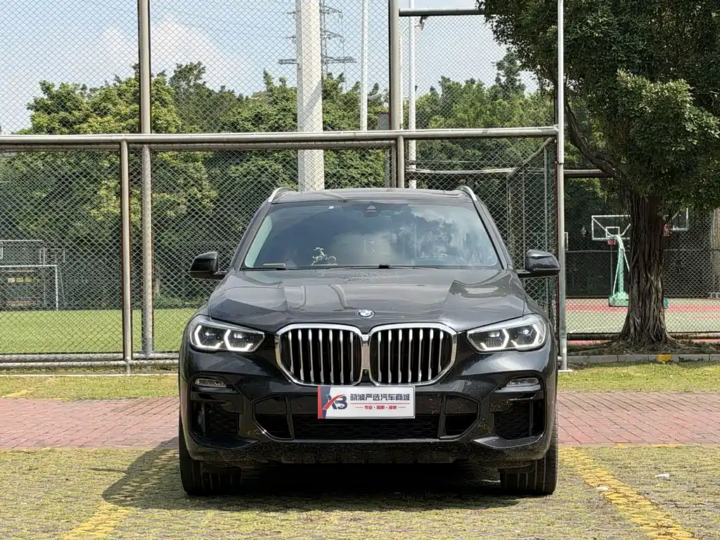 BMW X5 (Import) — миниатюра 2