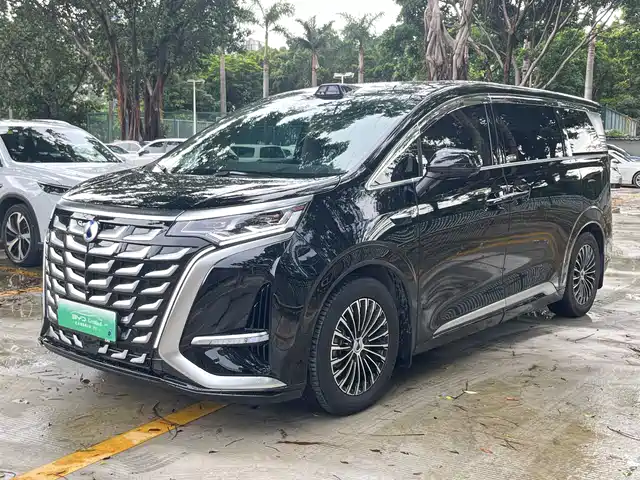 2025 Denza D9