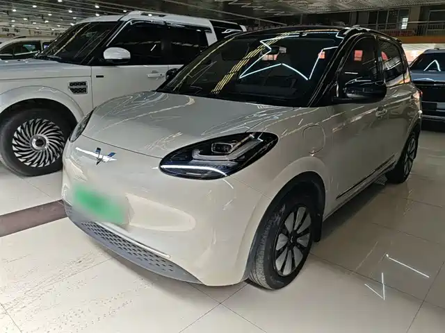 2024 Wuling Motors Binguo