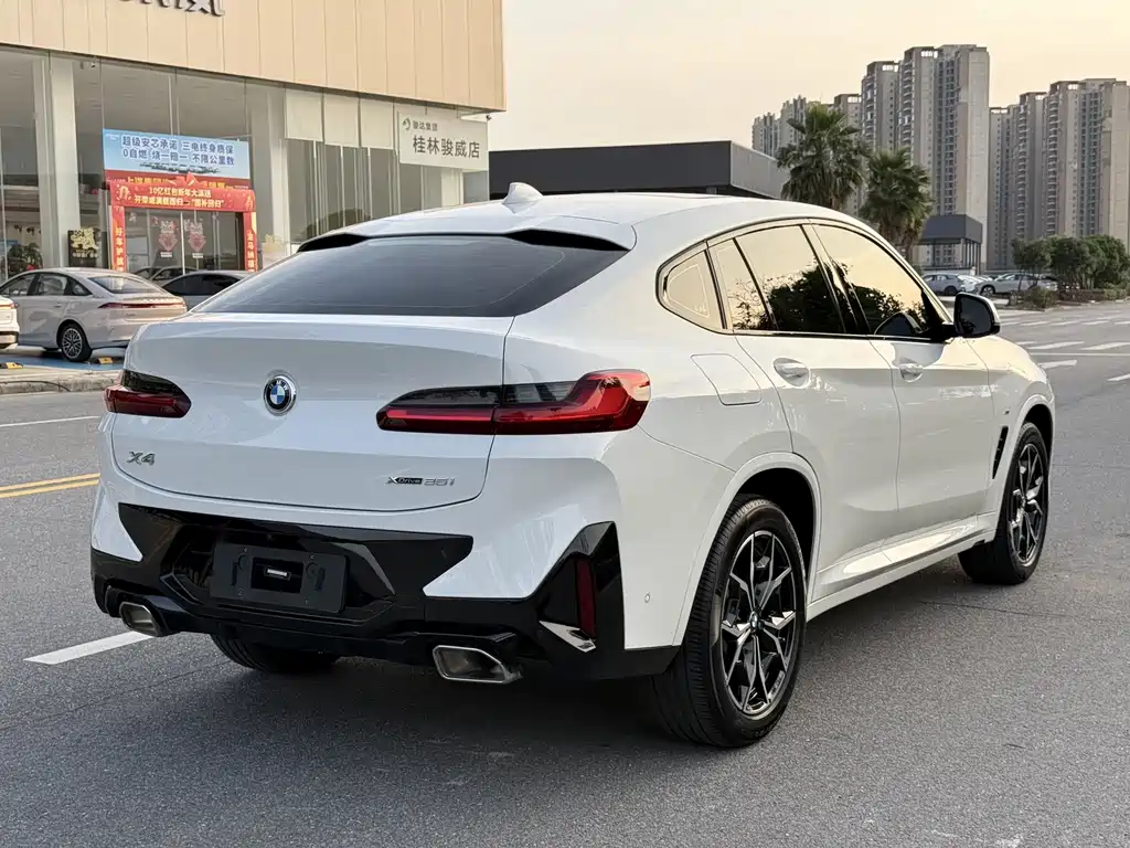 BMW X4 — миниатюра 4