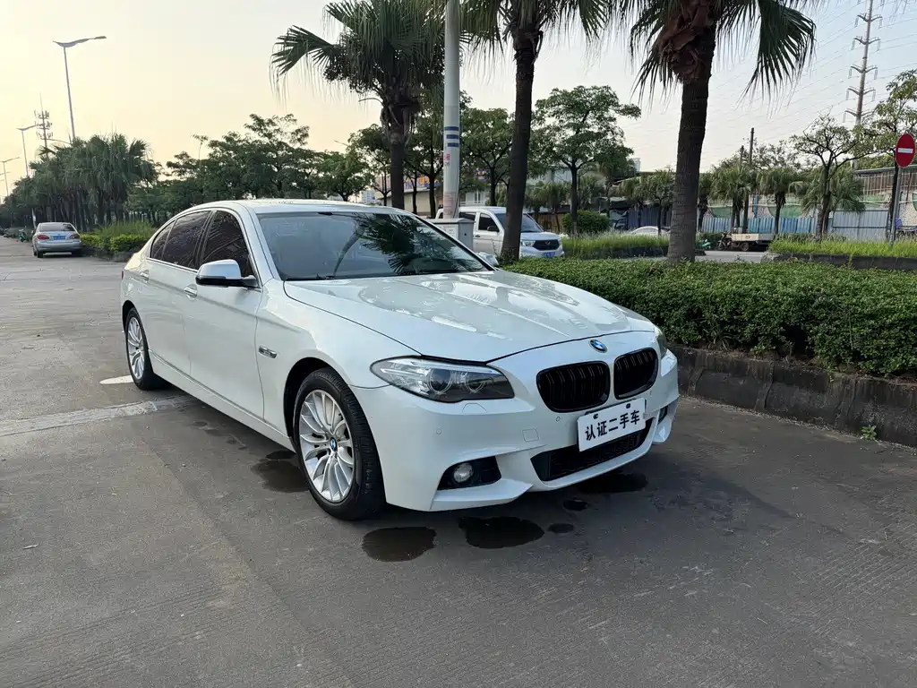 BMW 5 Series — миниатюра 3