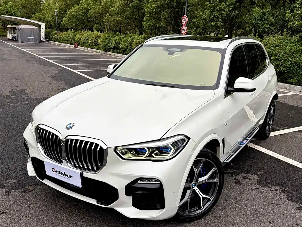 BMW X5 (Import) — миниатюра 2