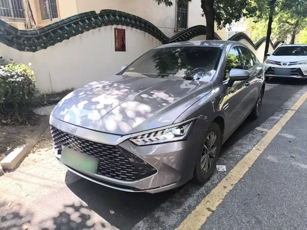 BYD Qin Plus PLUS 2024 DM-i 55KM Lead