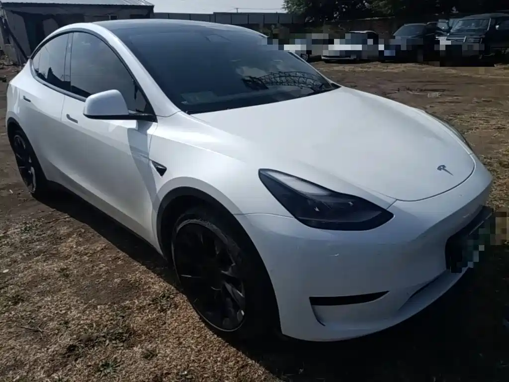Tesla Model Y — миниатюра 4