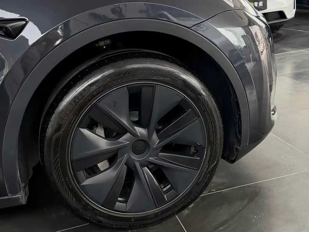 Tesla Model Y — миниатюра 11