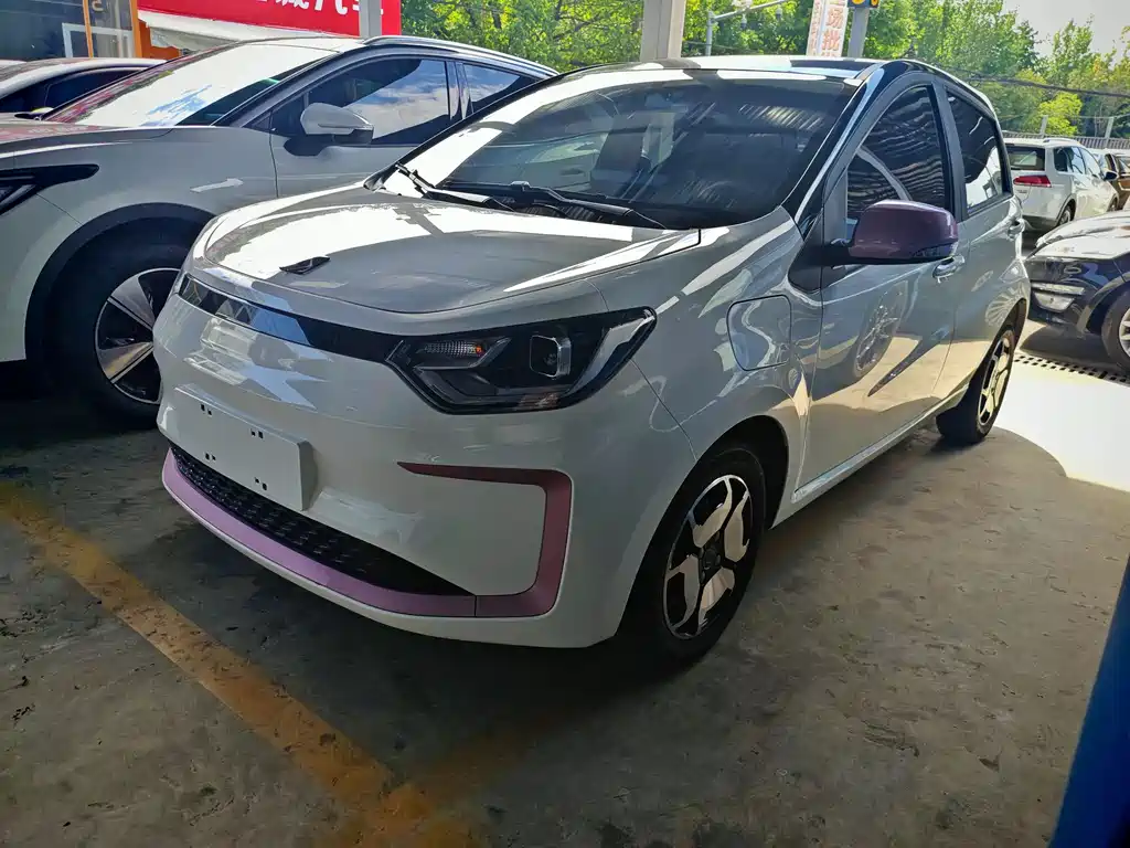 花仙子 2021款 集美版 302km 超越型