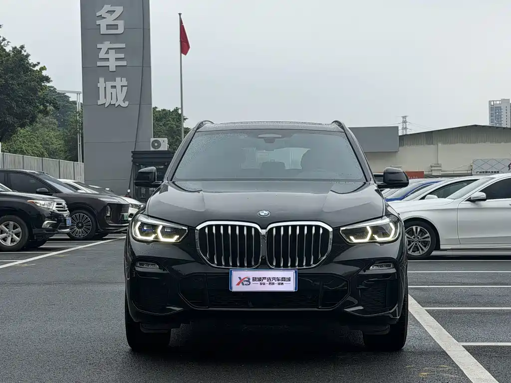 BMW X5 (Import) — миниатюра 3