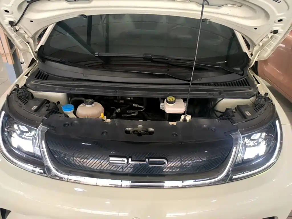 BYD Dolphin — миниатюра 20
