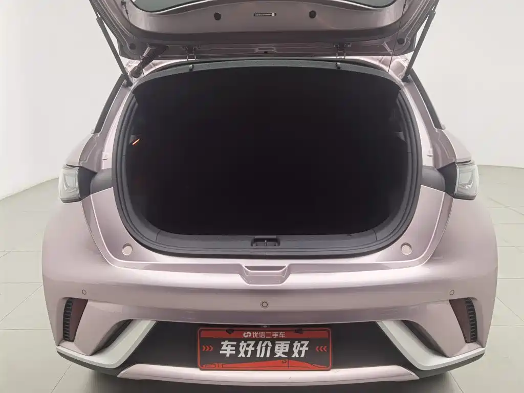 BYD Dolphin — миниатюра 16