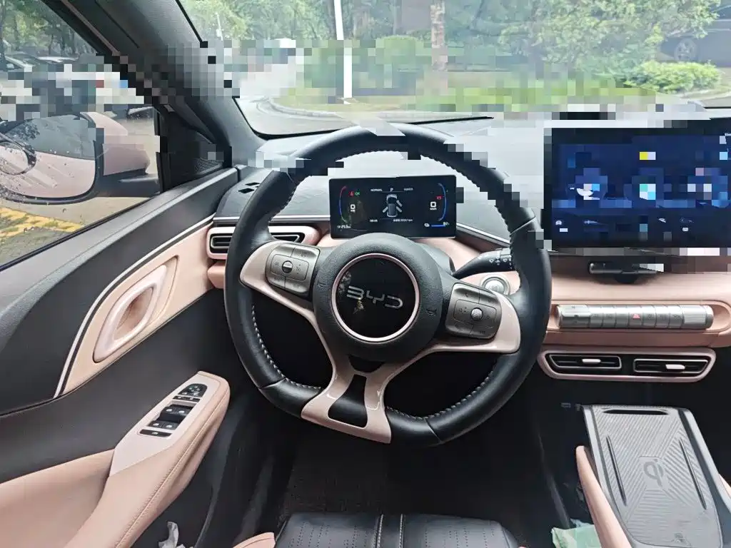 BYD Seagull 2025 305km Freedom