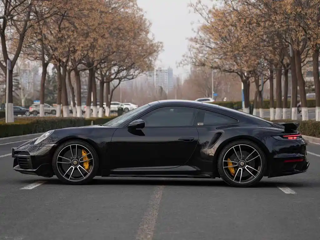 Porsche 911 — миниатюра 4