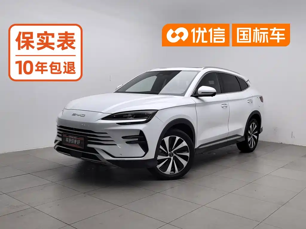 BYD PLUS New Energy