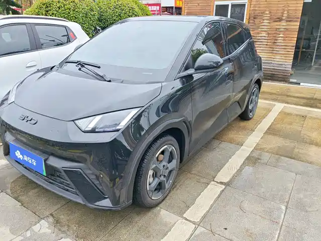 2024 BYD Seagull