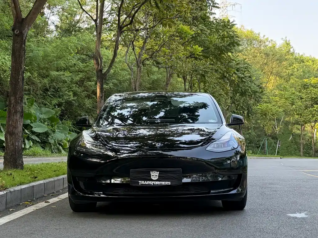 Tesla Model 3 — миниатюра 2
