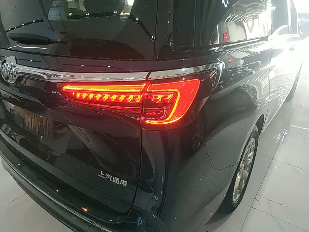 Buick GL8 — миниатюра 8