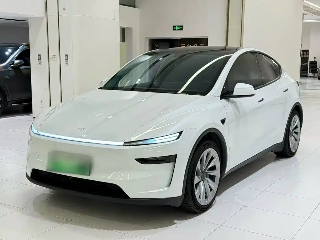 Tesla Model Y — миниатюра 23
