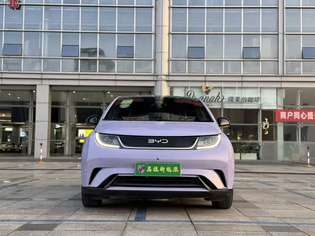 BYD Dolphin — миниатюра 2
