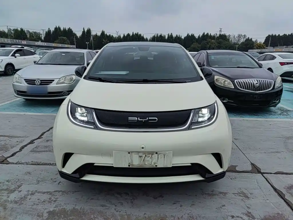 BYD Dolphin — миниатюра 3