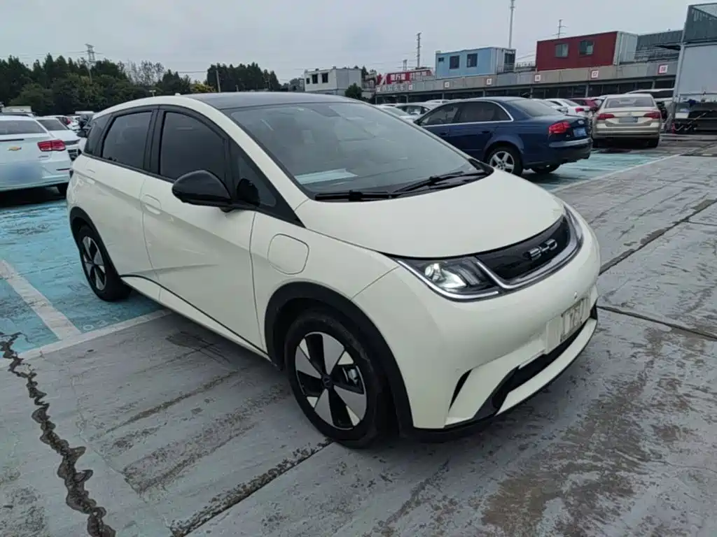 BYD Dolphin — миниатюра 4