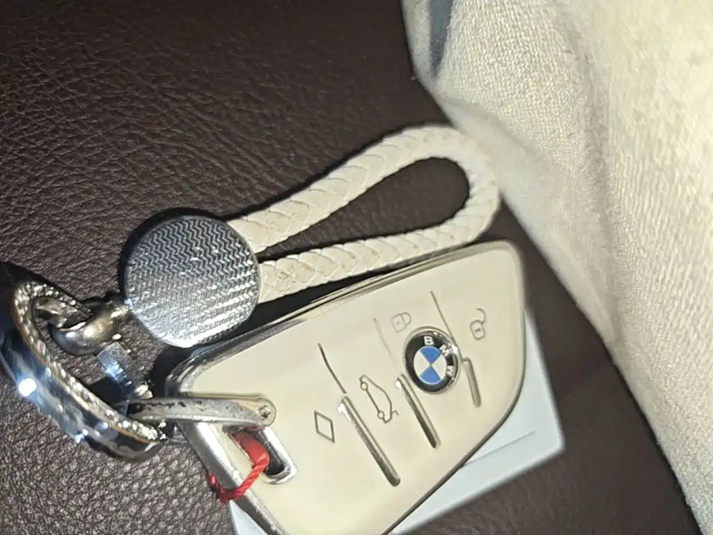 BMW X1 — миниатюра 9