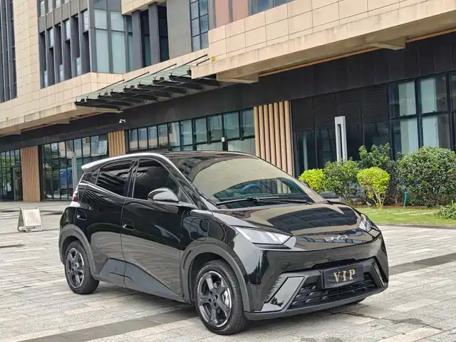 2023 BYD Seagull
