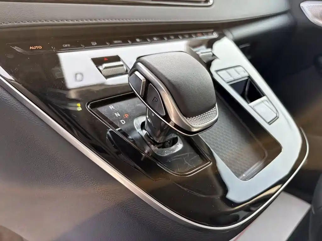 Hongqi Hongqi HQ9 — миниатюра 18