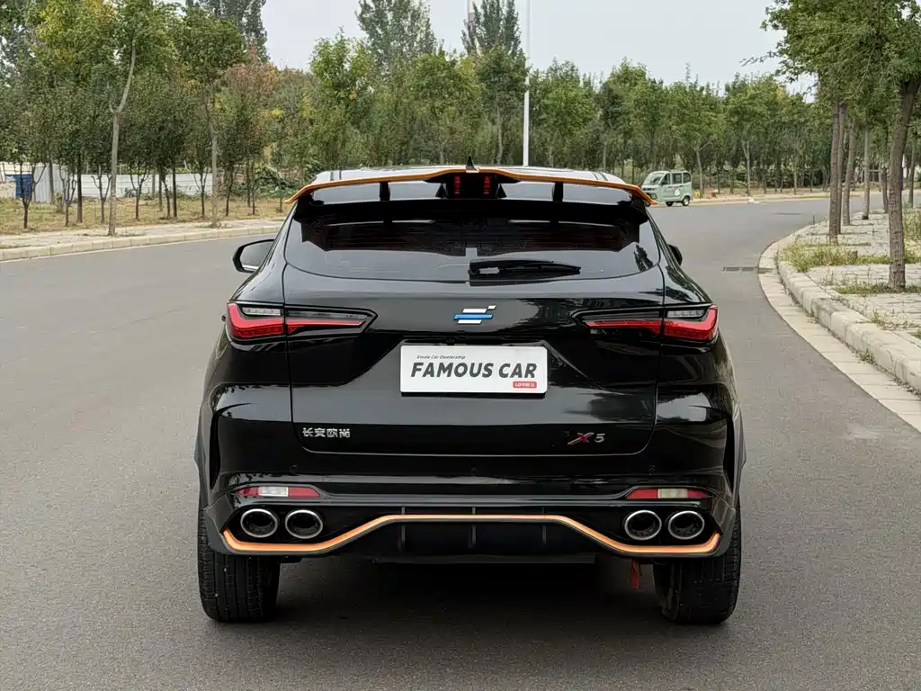 Oshan Oushang X5 — миниатюра 5