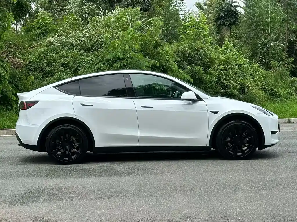 Tesla Model Y — миниатюра 8